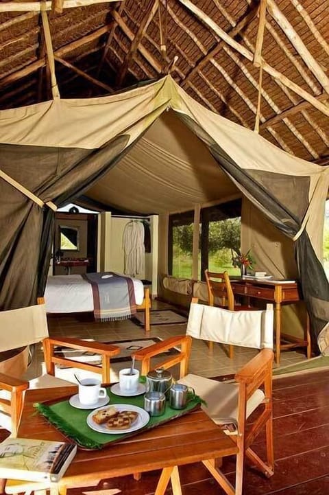 Tent | Egyptian cotton sheets, premium bedding, pillowtop beds, in-room safe