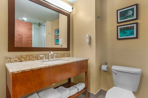 Down comforters, in-room safe, desk, blackout drapes