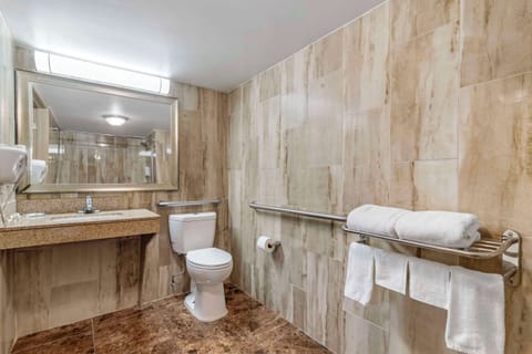 Room, 1 King Bed, Accessible, Non Smoking | Desk, laptop workspace, blackout drapes, iron/ironing board