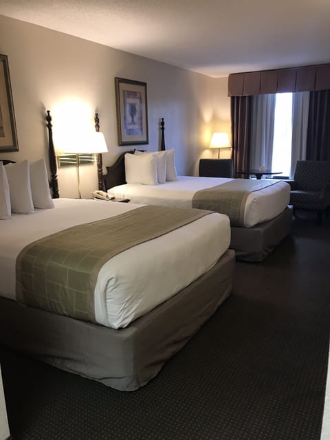 Premium bedding, desk, iron/ironing board, cribs/infant beds