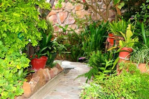The path to the cottage is well lit at night