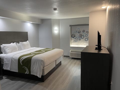 Room, 1 King Bed, Non Smoking | Desk, blackout drapes, iron/ironing board, free WiFi