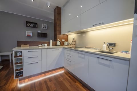 Apartment | Private kitchen | Fridge, microwave, oven, stovetop