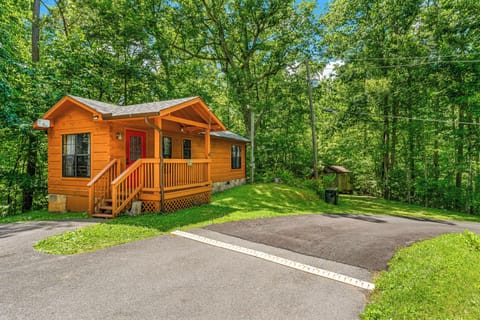 Private cabin, easy parking, and forest views in every direction