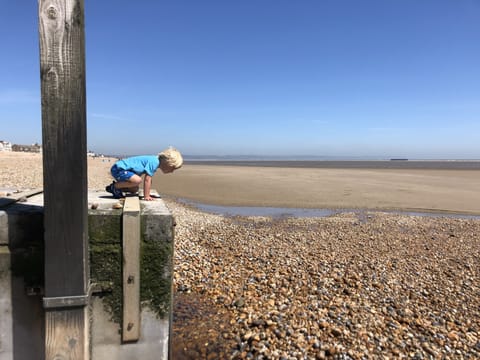 Gransdson  loves our beautiful beach