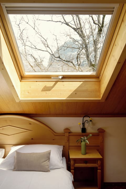 Double room Superior Eiger View | Hypo-allergenic bedding, down comforters, in-room safe, desk