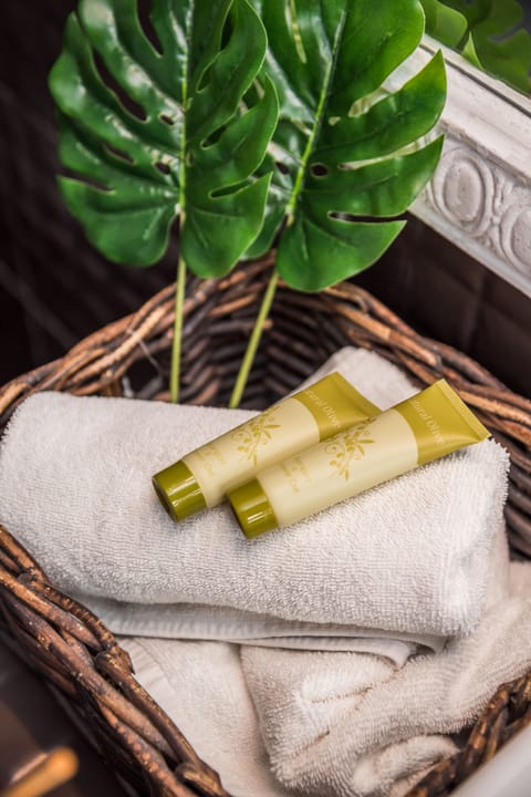 Shower, free toiletries, hair dryer, slippers