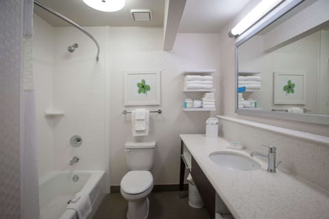 Combined shower/tub, free toiletries, hair dryer, towels