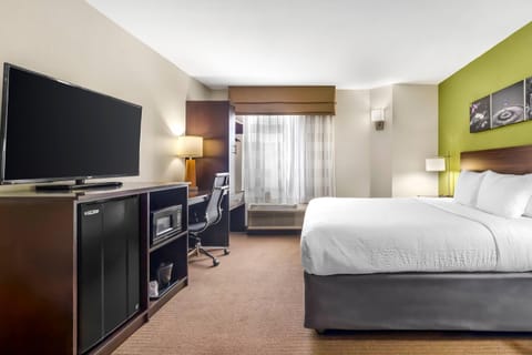 Room, 1 King Bed, Non Smoking | Premium bedding, desk, blackout drapes, iron/ironing board