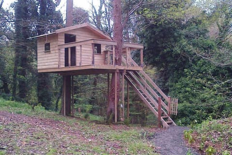 Holiday Home Facilities and Services