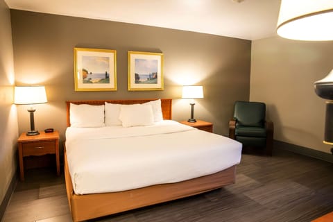 Hypo-allergenic bedding, pillowtop beds, desk, laptop workspace