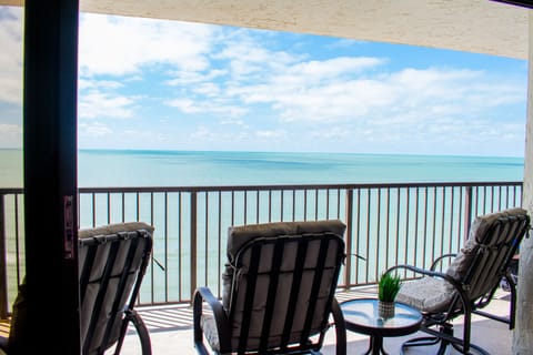 Gorgeous gulf views with dolphin sightings daily!