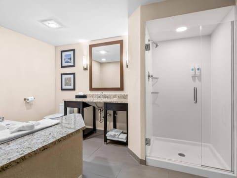 Suite, 1 King Bed with Sofa bed, Non Smoking (2 Person Sofa bed) | Desk, blackout drapes, iron/ironing board, free cribs/infant beds