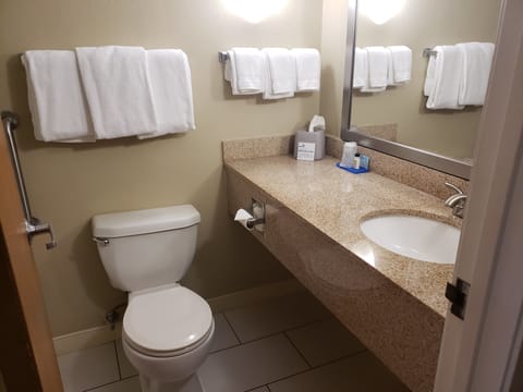 Combined shower/tub, free toiletries, hair dryer, towels