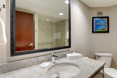 Combined shower/tub, free toiletries, hair dryer, towels