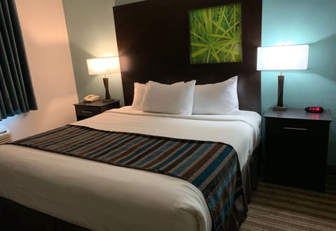 Desk, blackout drapes, soundproofing, iron/ironing board