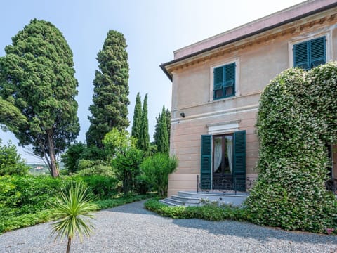 Shrub, Garden, Shade, Landscaping, Hedge, Evergreen, Driveway, Villa