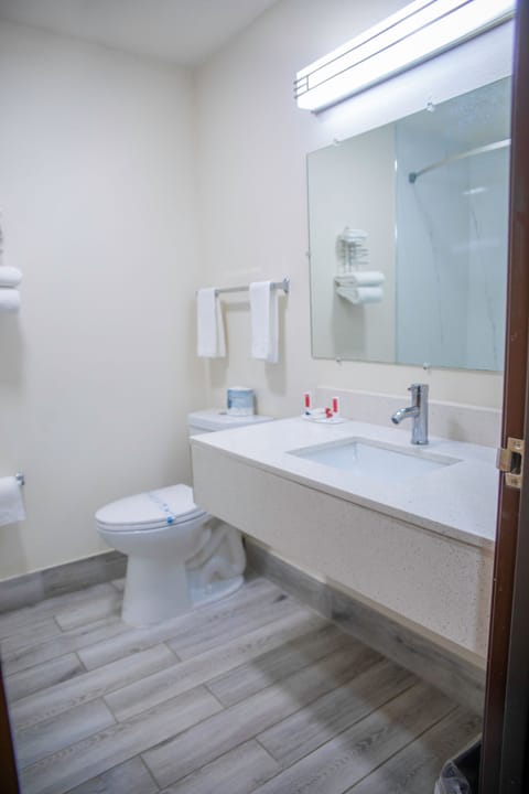 Standard Room, 1 King Bed, Non Smoking | Bathroom | Free toiletries, hair dryer, towels