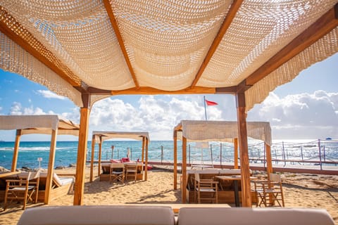 Private beach, sun loungers, beach umbrellas