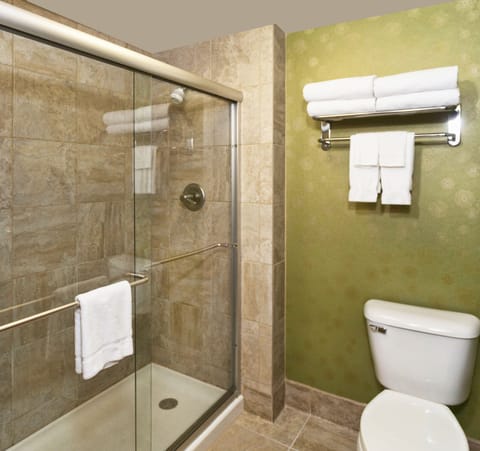 Combined shower/tub, free toiletries, hair dryer, towels