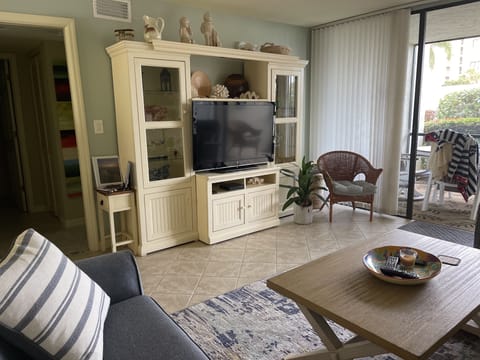 Living room TV