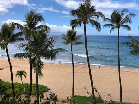 This is Our Slice of Paradise 