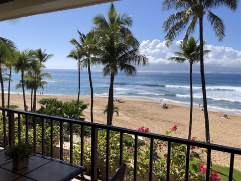 This is Our Slice of Paradise 