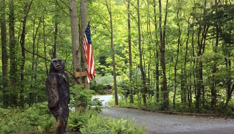 Obie welcomes you at the top of the drive to the Holyfield Cabin & Bunkhouse !