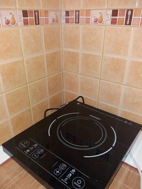 City Apartment, 1 Bedroom | Private kitchenette | Fridge, coffee/tea maker, electric kettle, rice cooker