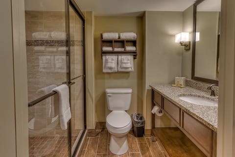 Combined shower/tub, free toiletries, hair dryer, towels