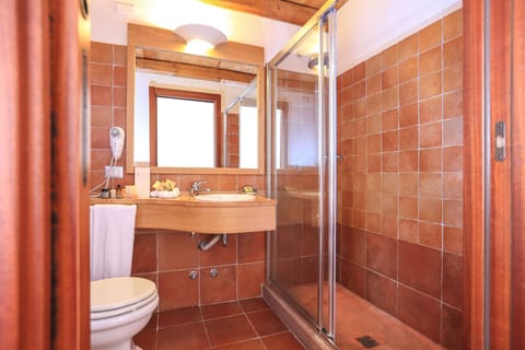 Shower, rainfall showerhead, free toiletries, hair dryer