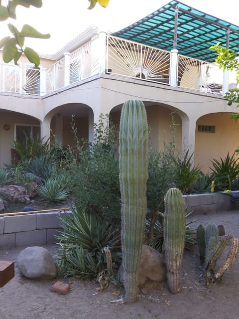 Picture from the garden area below.