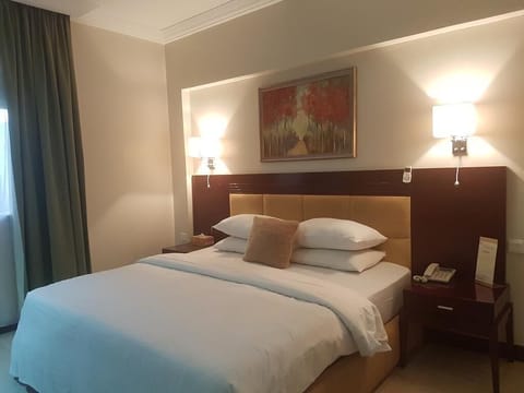 Minibar, desk, free WiFi, bed sheets