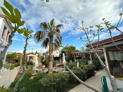 Outdoor banquet area