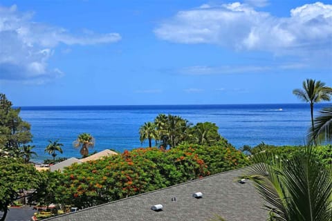 View from deck