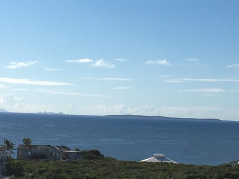 Blue Horizons