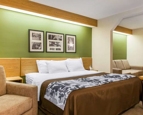 Suite, 1 King Bed, Non Smoking, Jetted Tub | In-room safe, iron/ironing board, rollaway beds, free WiFi