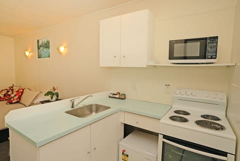 Deluxe Studio | Private kitchen | Fridge, microwave, oven, stovetop