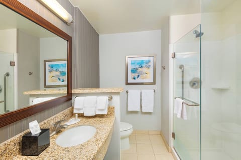 Free toiletries, hair dryer, towels