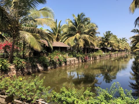 Lake view