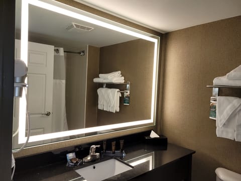 Combined shower/tub, free toiletries, hair dryer, towels