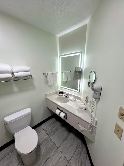 1 Bedroom King Suite with Sofa Bed | Bathroom | Combined shower/tub, hydromassage showerhead, free toiletries