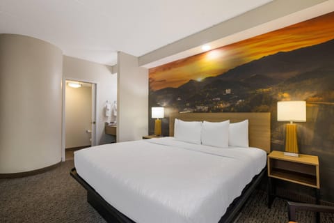 Standard Room, 1 King Bed, Non Smoking | Premium bedding, desk, blackout drapes, iron/ironing board