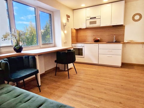 Superior New Studio | Private kitchen | Fridge, microwave, electric kettle, highchair