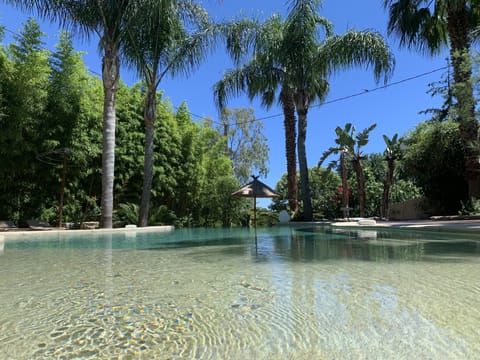 Seasonal outdoor pool, pool umbrellas, sun loungers