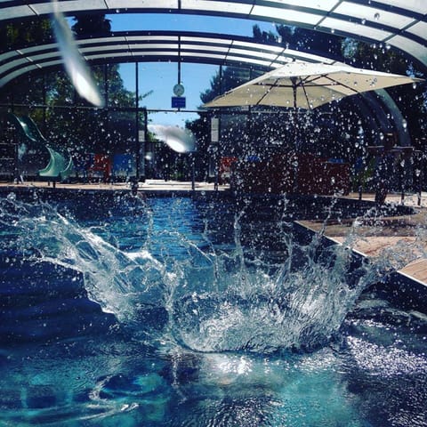 Indoor pool, outdoor pool, open 8:00 AM to 9:30 PM, sun loungers