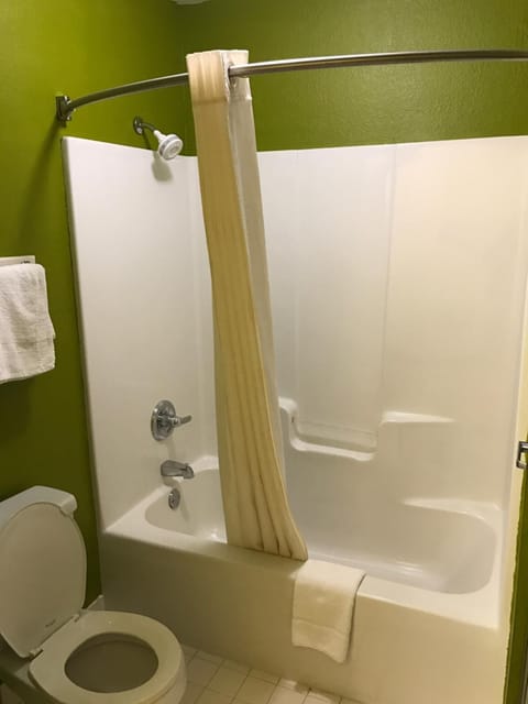Combined shower/tub, free toiletries, hair dryer, towels