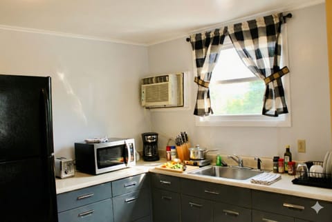 Standard Apartment, 2 Bedrooms, Kitchen, Partial Lake View | Private kitchen | Fridge, microwave