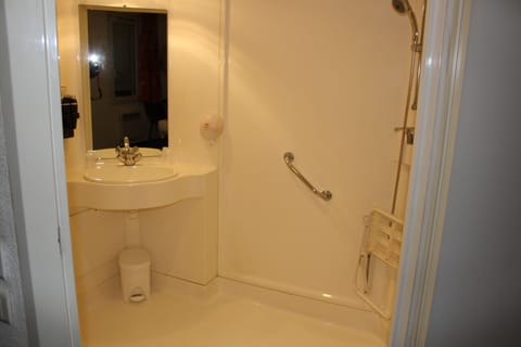 Standard Double Room, Accessible | Bathroom shower