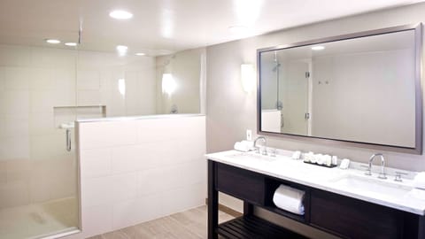 Combined shower/tub, free toiletries, hair dryer, towels